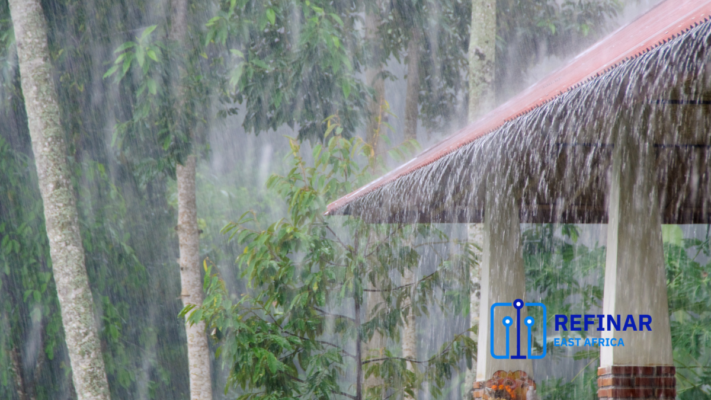How to Harvest Rainwater at Home